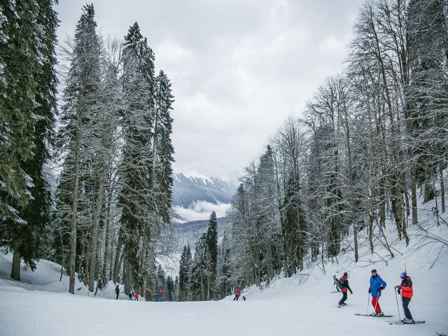 スキーを満喫する冬の旅の魅力